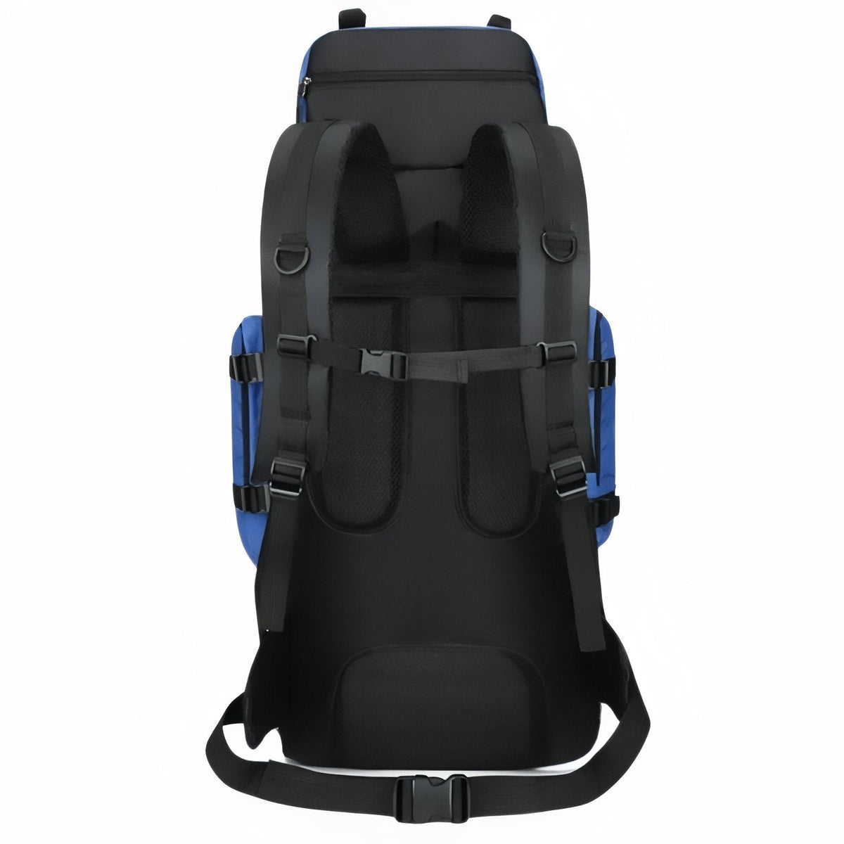 Back view of the pack showing the padded shoulder straps, chest strap and hip belt