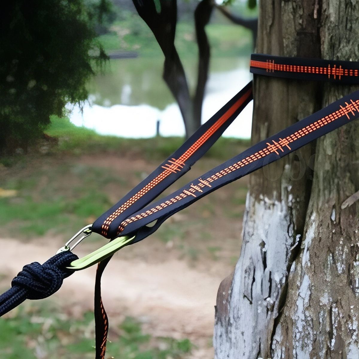Two black and orange straps wrapped round a tree trunk with a hammock clipped to a loop