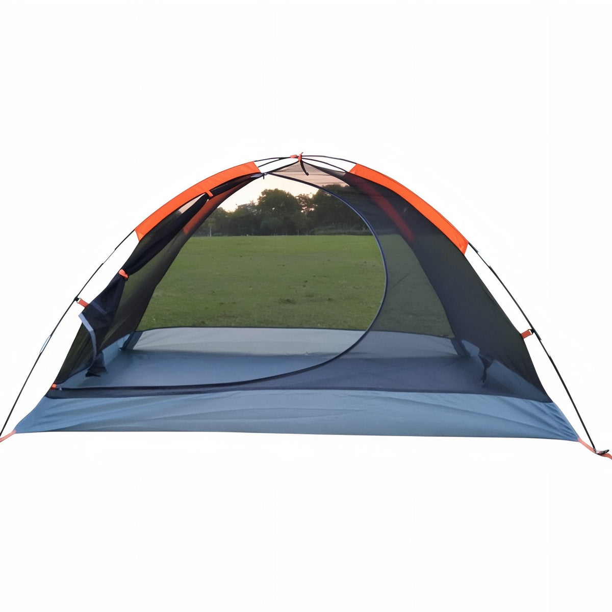 The mesh inner tent pitched on its poles without the flysheet