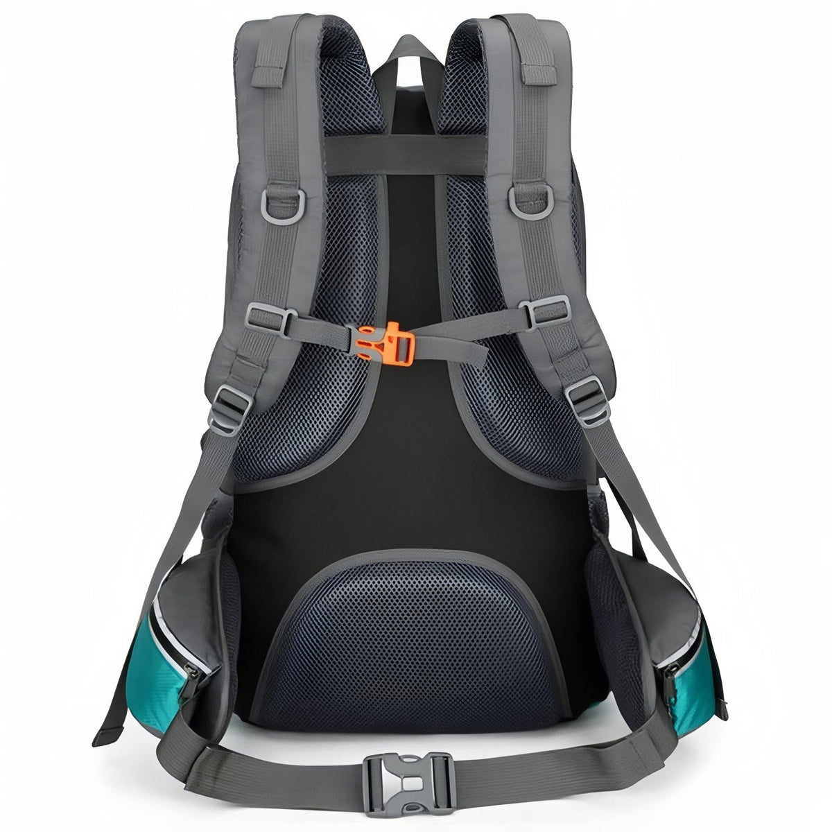 Back of the backpack: padded straps, ventilated back and hip belt
