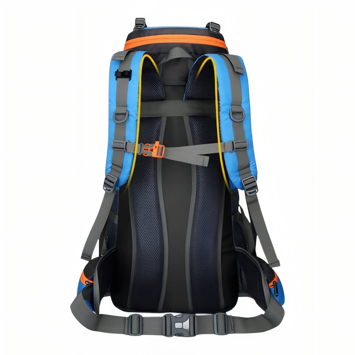 Back of the sky blue backpack showing the mesh back panel, padded shoulder straps and hip belt