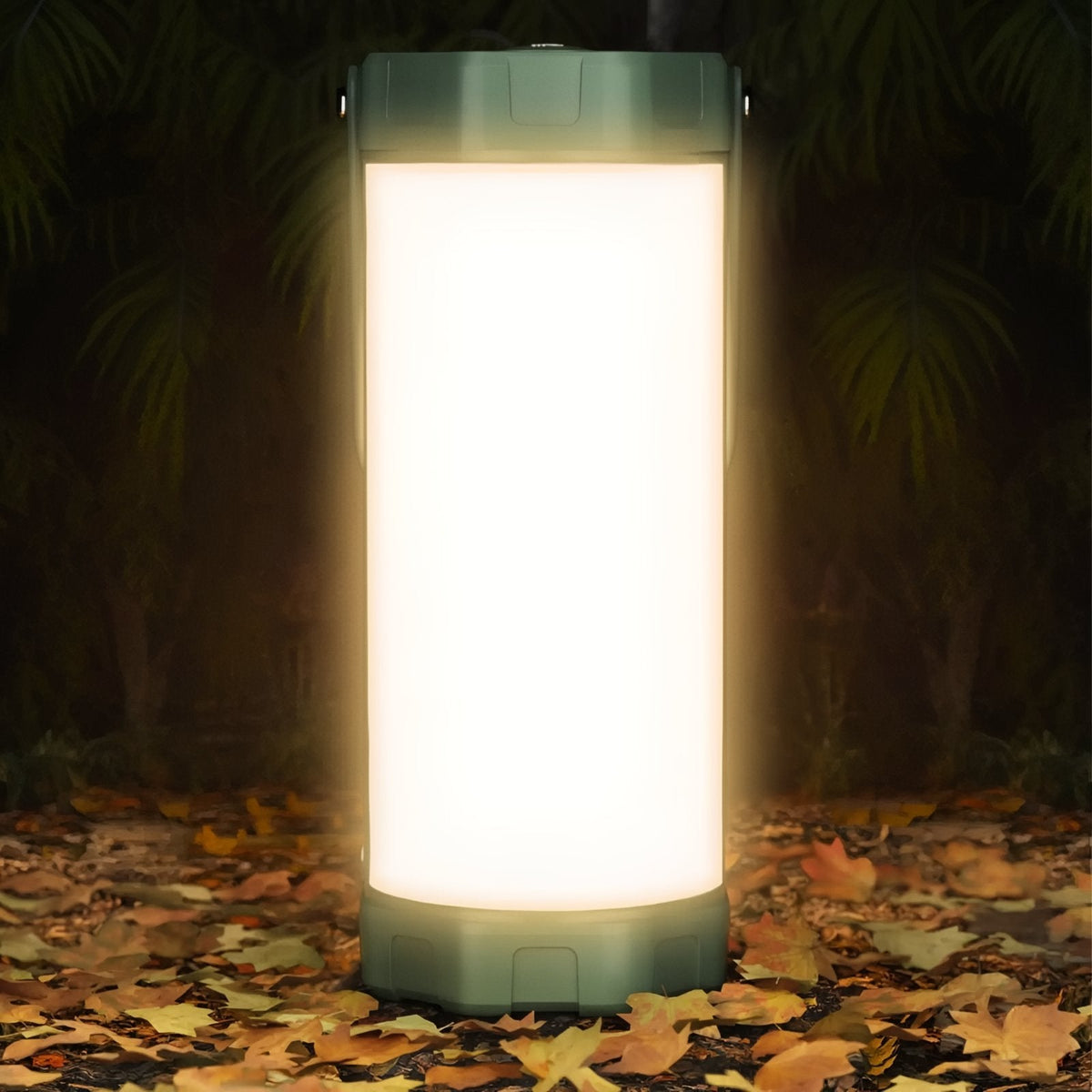 The lantern glowing warm white on a ground of autumn leaves at night
