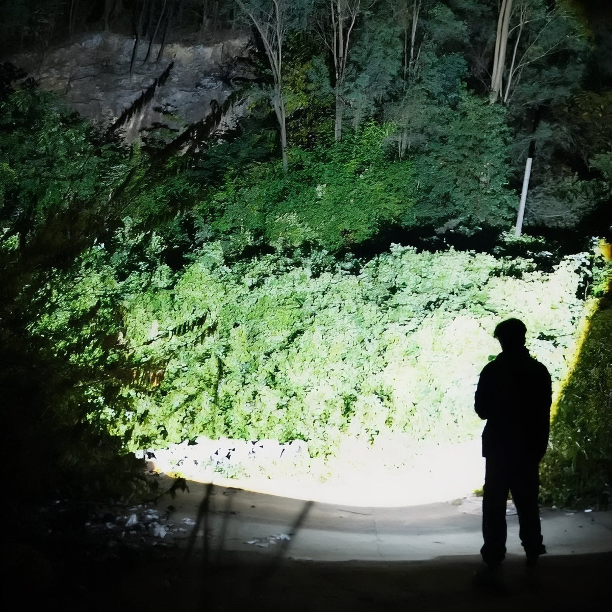 Person standing in the wide beam of the torch on a forest path at night