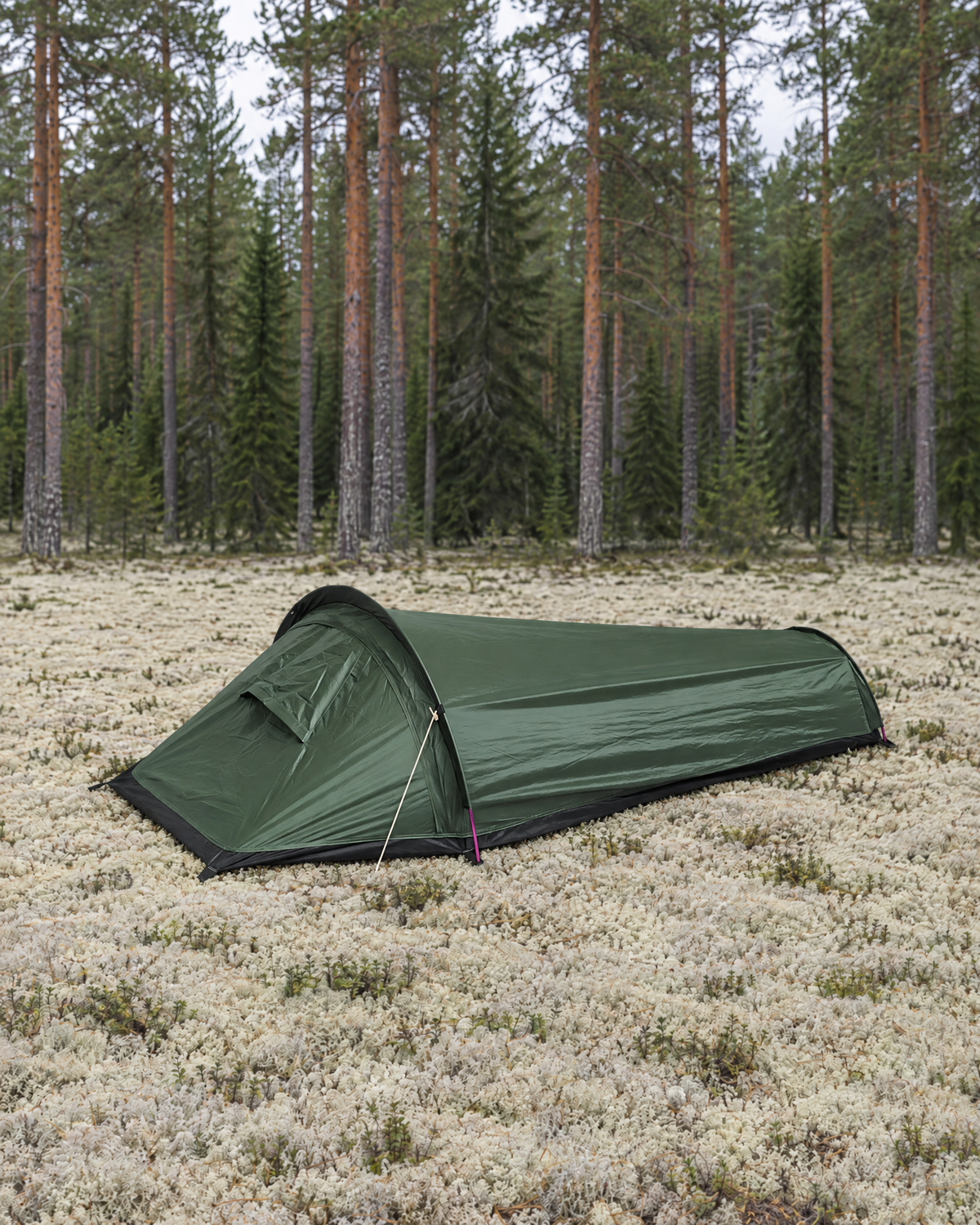 Dark green one-person bivy tent with one hoop pole pitched on pale reindeer lichen in front of a pine forest